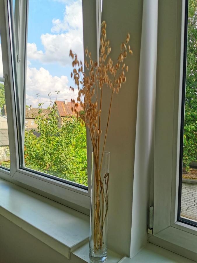 Tolstoi Scandinavian 1 Bedroom Apartment + Free Parking Tartu Luaran gambar